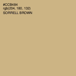 #CCB484 - Sorrell Brown Color Image